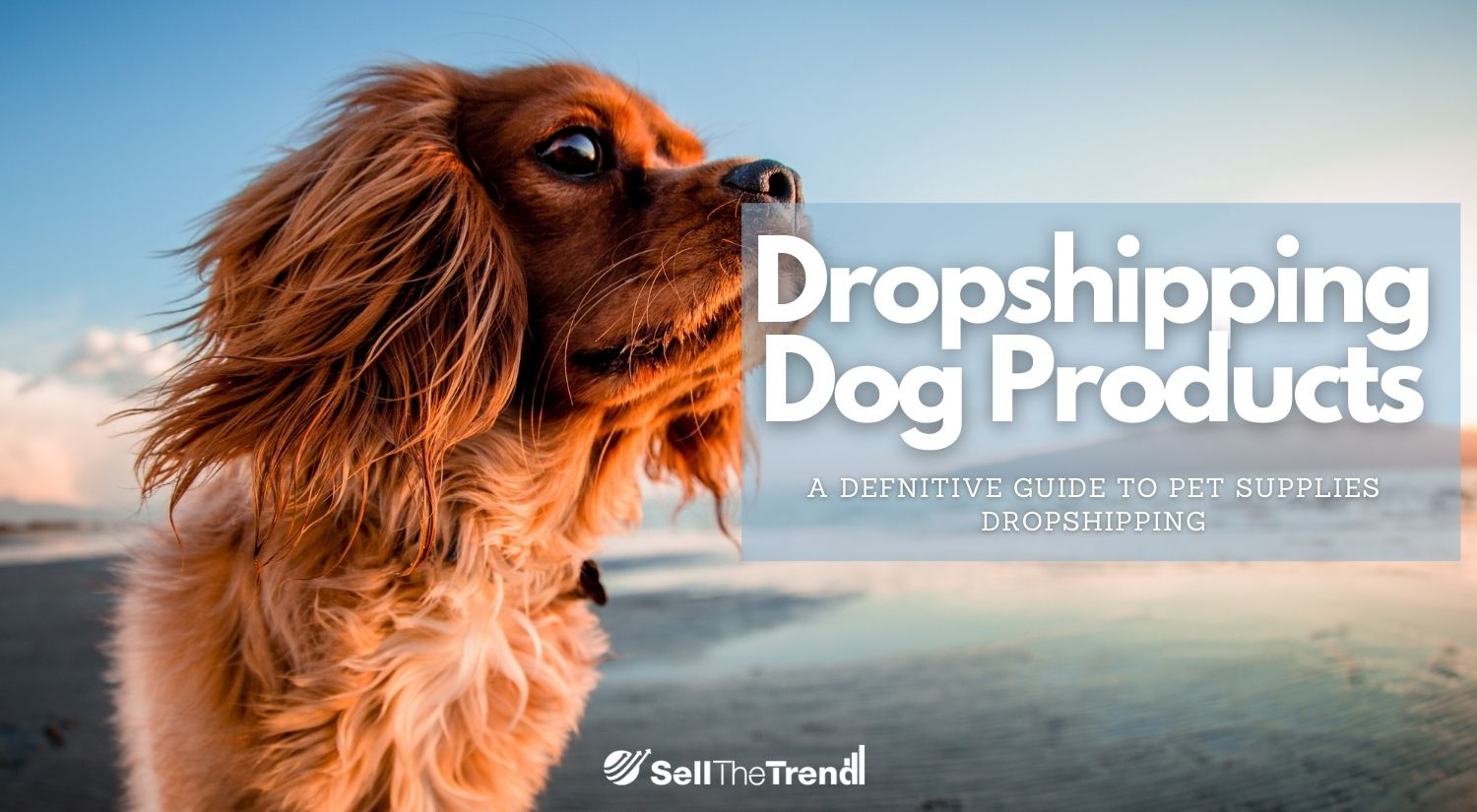 Dropship 2024 pet food